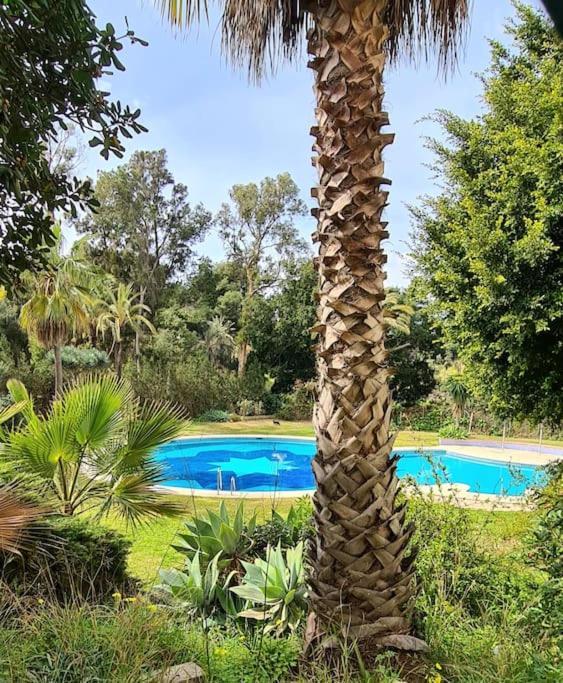 Soleado Apartamento Golf Y A 900 M De La Playa Benalmádena Exterior foto